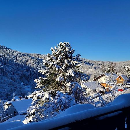 Grosse Ferienwohnung In Ruhiger Lage Mit Toller Aussicht In Triberg 特里贝格 外观 照片