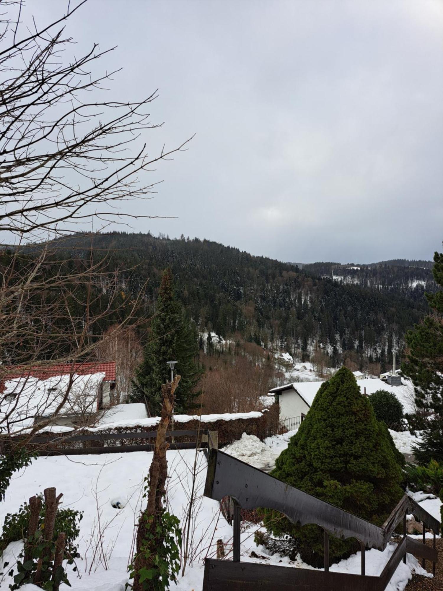 Grosse Ferienwohnung In Ruhiger Lage Mit Toller Aussicht In Triberg 特里贝格 外观 照片