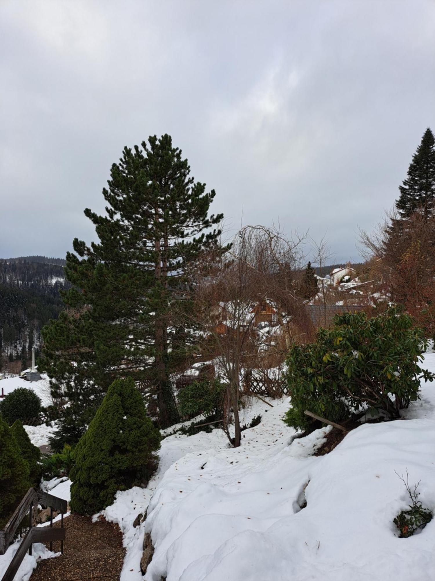 Grosse Ferienwohnung In Ruhiger Lage Mit Toller Aussicht In Triberg 特里贝格 外观 照片
