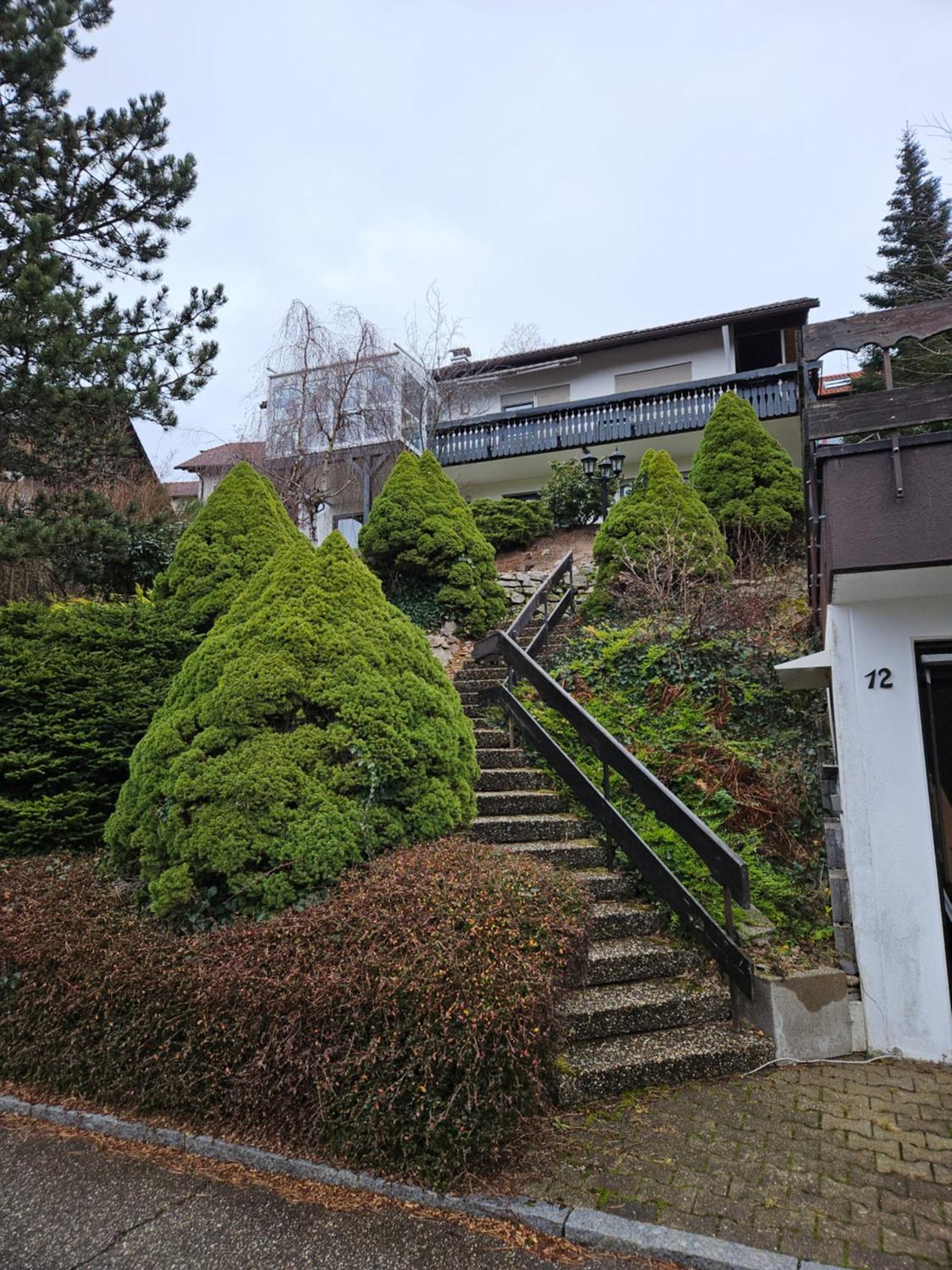 Grosse Ferienwohnung In Ruhiger Lage Mit Toller Aussicht In Triberg 特里贝格 外观 照片