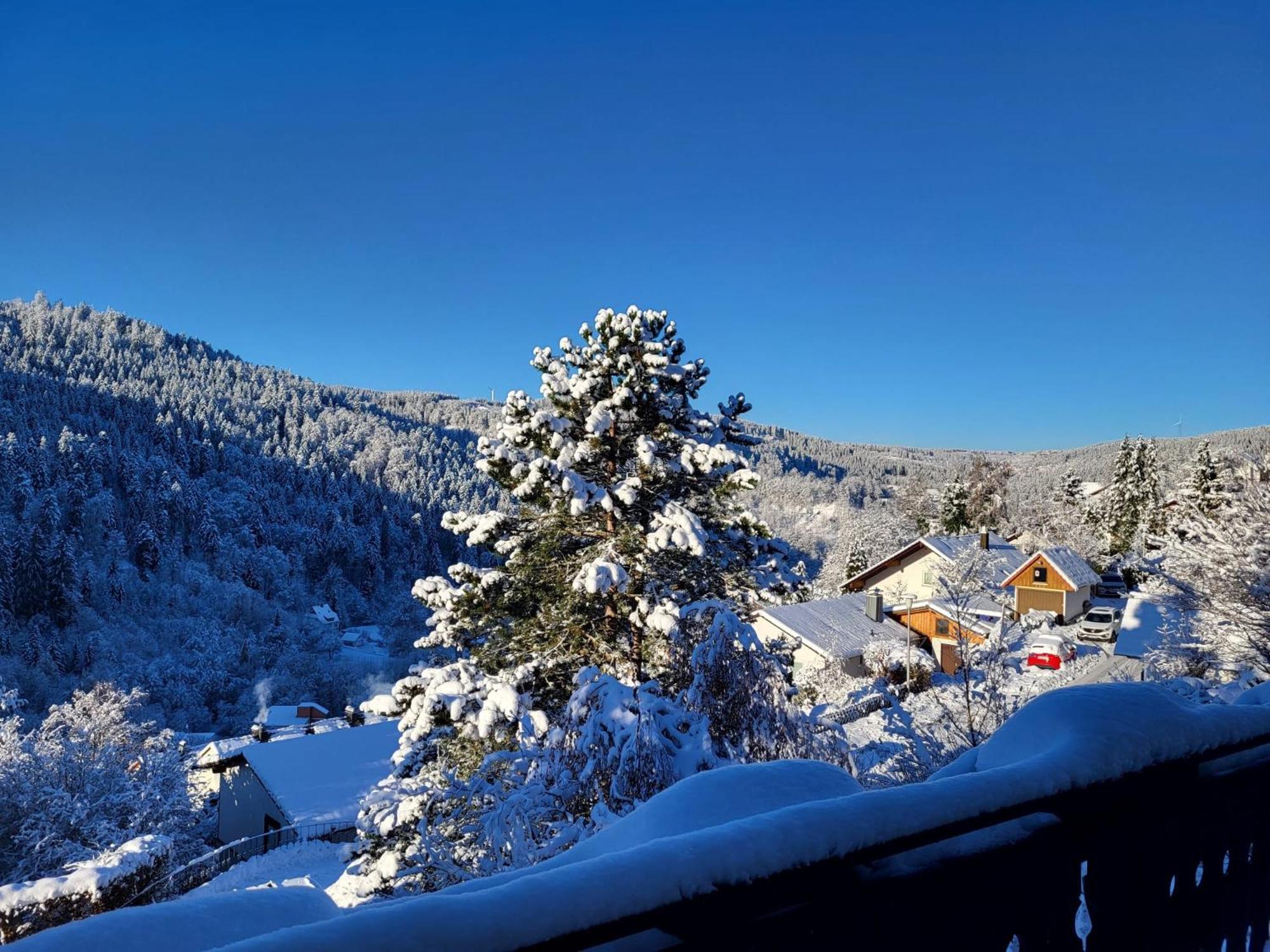 Grosse Ferienwohnung In Ruhiger Lage Mit Toller Aussicht In Triberg 特里贝格 外观 照片