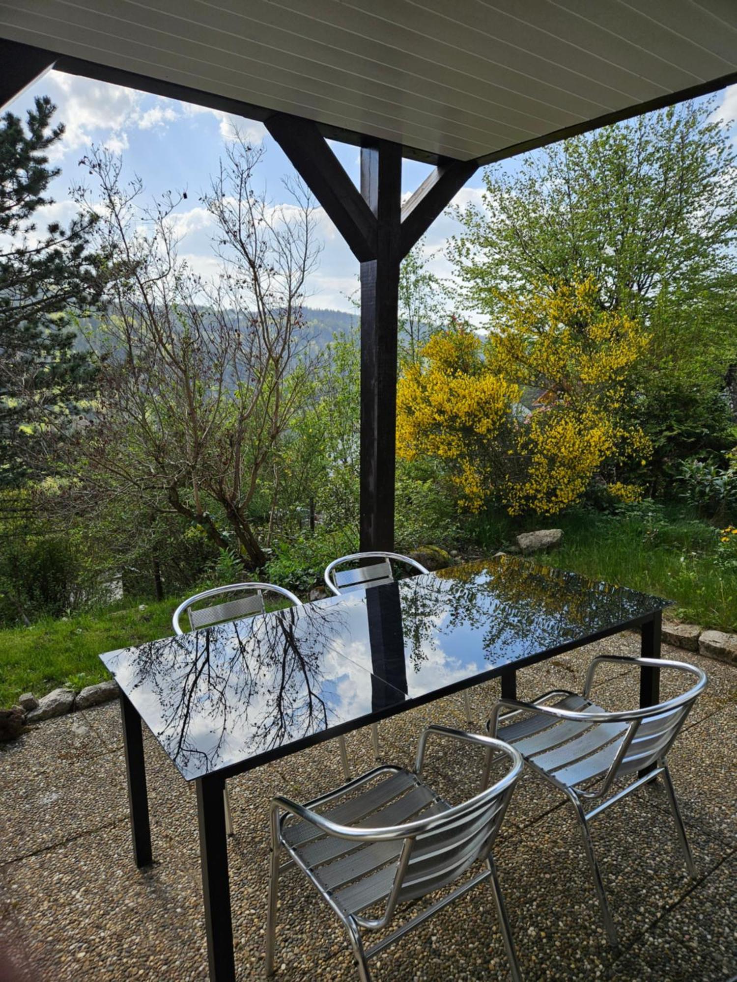 Grosse Ferienwohnung In Ruhiger Lage Mit Toller Aussicht In Triberg 特里贝格 外观 照片